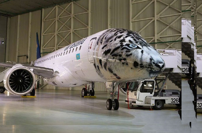 飛機(jī)車(chē)身貼涂裝
